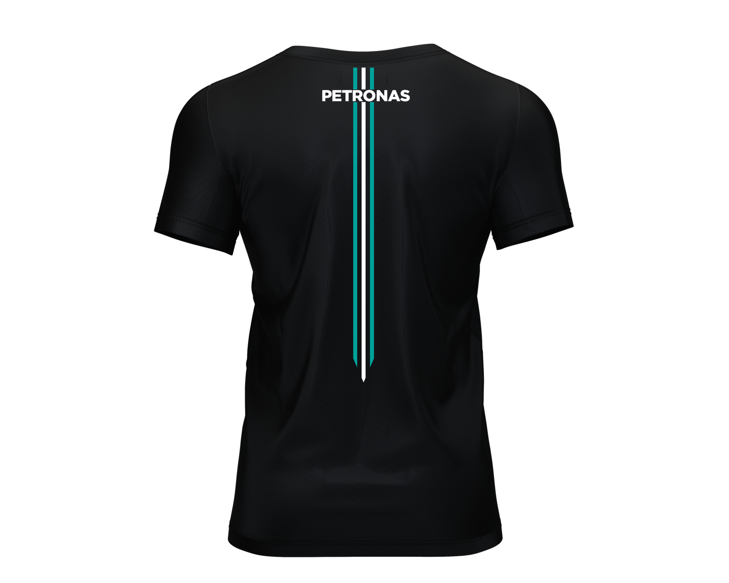 Mercedes F1 Livery Team