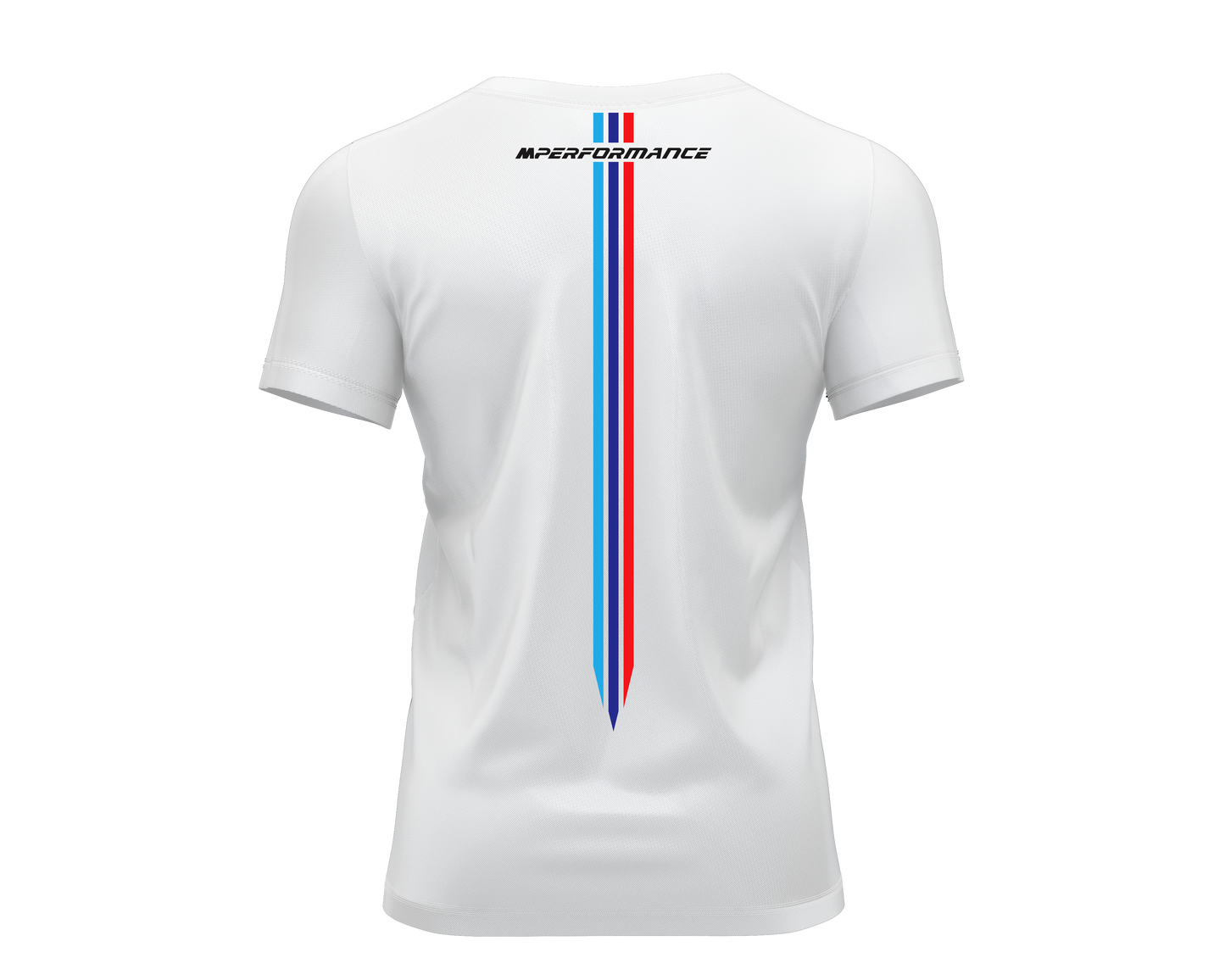BMW M-Power Livery Team